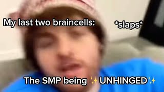 The DSMP being ✨UNHINGED✨ for 4 minutes and 33 seconds [upl. by Hartley714]