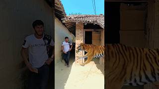 Yarr tera hero khalnayak hogya Ghar ke under gusne wala animal video mmmrazz short funny comedy [upl. by Hermy124]