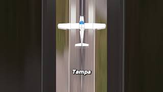 The Shocking Story of the Tampa Plane Crash Copycat [upl. by Kcirddahc367]