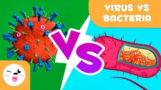 Viruses Vs Bacteria  What are their differences [upl. by Denton]