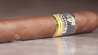 Cohiba Esplendidos  Reseña LP4 Cigar Club [upl. by Isbella]