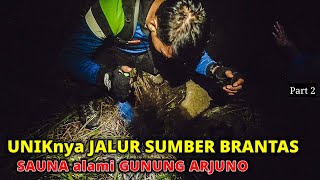 Pendakian GUNUNG ARJUNO WELIRANG via SUMBER BRANTAS  Banyak Cerita di Perjalanan [upl. by Aubine59]