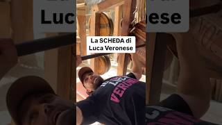 😳La SCHEDA di LUCA VERONESE 🦾 [upl. by Terrell]