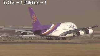 桜の季節・成田空港ゴーアラウンド怒濤の8連発！【着陸復行】 [upl. by Schilt837]