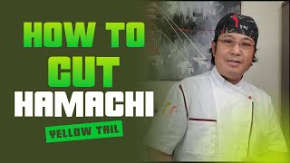 How to Fillet a Whole Hamachi  Whole fishPrepare for Sushi or sashimi [upl. by Anelaf825]