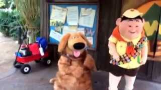 Meeting Russell and Dug from Pixars movie UP at Disneys Animal Kingdom [upl. by Audry]