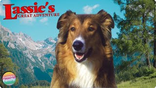 LASSIES GREATEST ADVENTURE  FREE FULL FAMILY MOVIE 🎥🐶 [upl. by Burney]