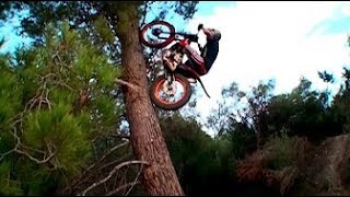 Best Trial Bike Stunts [upl. by Hannover429]