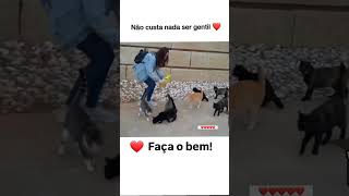 Faça o Bem jesus shortvideo amor youtubeshorts ytshorts youtube shorts short jesusshort fé [upl. by Arikaahs168]