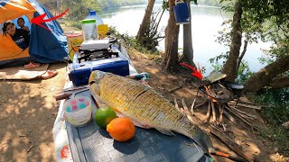 ACAMPAR PESCAR E PREPARAR PEIXE FRITO NA BEIRA DO RIO TUDO PODE MUDAR NO ACAMPAMENTO [upl. by Conni]