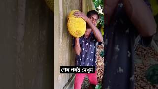 কি সুন্দর কাঁঠাল। youtubeshorts foryou shortvideo [upl. by Nnovahs595]