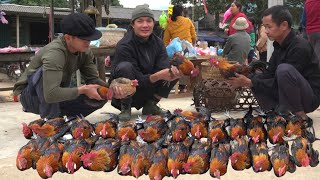 Zon happily goes to the market to sell chickens after the disease outbreak at the farm [upl. by Nennek]