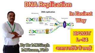 DNA Replication  Conservative Model  Biochemistry  BP203T  L54 [upl. by Pietro548]