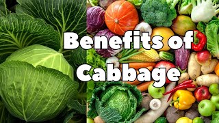 Benefits of Cabbage [upl. by Muir]