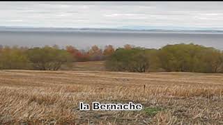 Journée dautomne en bordure du lac stjean [upl. by Nosoj]