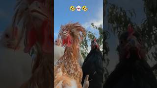 Funny chicken dance instagram trending funny shorts viralvideo ytshort reels mumbai [upl. by Aicilegna]