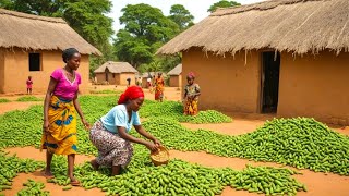 African village typical Morning routine trending V11 [upl. by Netsyrc]