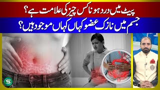 Abdominal Pain — Symptoms Diagnosis and Treatment — Abdomen Pain Relief [upl. by Laidlaw]