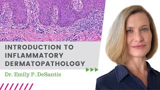 Introduction to Inflammatory Dermatopathology  November 2024 \ Dermpath with Davis amp DeSantis [upl. by Widera]