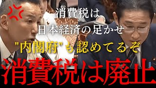 【消費税は廃止一択】消費税の増税がなければ日本は豊かなままだった！？消費税は日本経済の足かせ【国会中継】【山本太郎】 [upl. by Acceb]