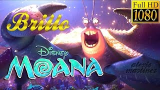 BRILLO  MOANA ESPAÑOL LATINO  TAMATOA LETRA  MOANA UN MAR DE AVENTURAS [upl. by Casta]