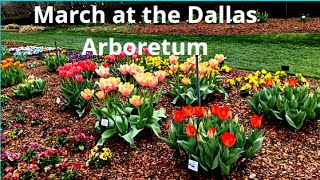 March at the Dallas Arboretum and Botanical Garden [upl. by Brodie]