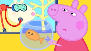 Peppa Pig Finds Goldie the Fish a New Friendf [upl. by Weber308]