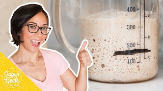 How To Make Sourdough Starter  The Beginners Guide [upl. by Stock]