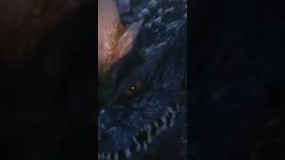 King Ghidorah vs SpaceGodzilla godzilla monsterverse kaiju epicversus kingghidorah [upl. by Nyvek183]