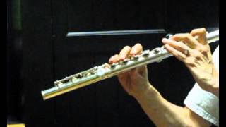 Gemeinhardt KG Special Used Flute for Sale  Low and High Register Demo [upl. by Roze]