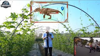 New Action Dinosaur Movies 2023 Full  Kong 2 Vs Trex  Jurassic Park 4  Dinosaur rexy  Mssandy [upl. by Anivlis]