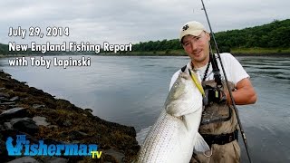 July 29 2014 New England Fishing Report with Toby Lapinski [upl. by Nirraj]