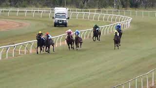 Mareeba 20240526 Race 6 [upl. by Novyat]