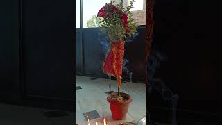 Tulsi Pooja [upl. by Niven]