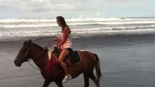 Manuel Antonio National Park horseback exclusive customized tours on the beach [upl. by Ioab]