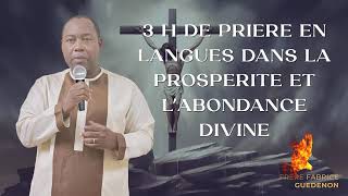 3 H DE PRIERE EN LANGUES DANS LA PROSPERITE ET L’ABONDANCE DIVINE [upl. by Eatton44]