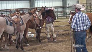 Jamison Ranch Quarter Horses  Buster McLaury Clinic  2011 [upl. by Brena]