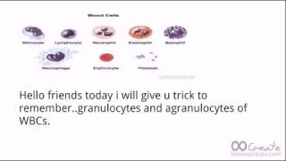 Trick to remember WBCs granulocytes and agranulocytes For neet [upl. by Kalila]