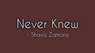 Never Knew  Shaya Zamora lyrics [upl. by Enilesoj]