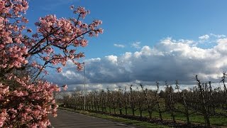 Weerbericht vrijdagochtend Beetje lente [upl. by Eveleen]