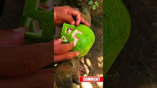 Pomelo Cutting Skill😋😄tips viral shot trendingshorts tricks recipeart artwork [upl. by Ibed]