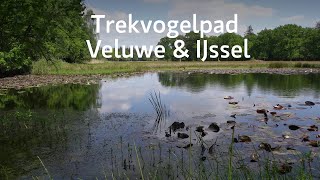 Trekvogelpad Veluwe en IJssel Etappe 14 tot en met 18 [upl. by Calv]