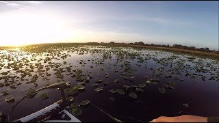 Fishing Florida Swamps For Big Bass [upl. by Shah]