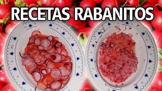 RECETAS DE RABANITOS O RÁBANOS  ENSALADAS  ERICA YT [upl. by Etnohs]