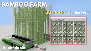 Minecraft Bedrock Easy BAMBOO Farm Tutorial  30 stacks per harvest [upl. by Gunzburg669]