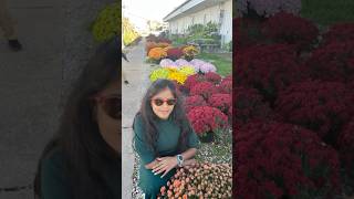 BOTANICAL GARDEN BransonFamilyBeautiful Flowers 🌹 USATelugu vlogs 😀 [upl. by Placida]