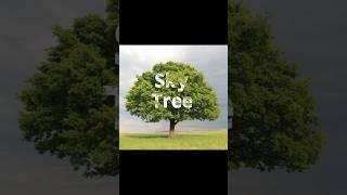 Adobe photoshop tricks 2025 How to Blending Text to tree Background shorts photoshoptutorial [upl. by Ayotna]