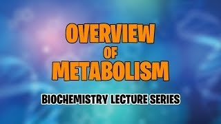 OVERVIEW OF METABOLISM  BIOCHEMISTRY  MEDVIDSMADESIMPLE [upl. by Nathanil]