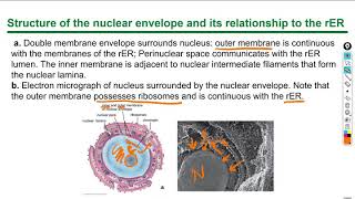 Histology lecture 1 chapter 3 [upl. by Swane650]