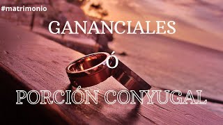 Cuales son las diferencias entre gananciales y porción conyugalAlexValenciaAbogado [upl. by Mccutcheon455]